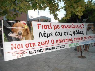 Διαμαρτυρήθηκαν για την εξόντωση των αδέσποτων με φόλες στο Κιάτο Κορινθίας