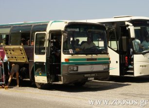 Κ.Τ.Ε.Λ. Έβρου: Μετά τη σύλληψη του οδηγού όρισαν δρομολόγια και για τη μεταφορά κατοικίδιων