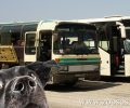 Οδηγός Κ.Τ.Ε.Λ. στη Σητεία απαγόρευσε σε σκύλο - οδηγό τυφλού ατόμου να ταξιδέψει με το λεωφορείο