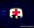 Δωρεάν νοσηλεία για ζώα πυρόπληκτων περιοχών απ’ την κλινική «Κυανούς Σταυρός» στη Ν. Λάμψακο Χαλκίδας