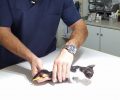 Καλύτερα στην υγεία του το γατάκι που ξυλοκοπήθηκε στο Παρθένι Λέρου - Δεν συνελήφθη η δράστης (βίντεο)