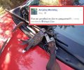 Συγνώμη ζητάει ο κυνηγός - δημοτικός σύμβουλος Κηφισιάς που καμάρωνε για το σκοτωμένο πουλί στο Γραμματικό
