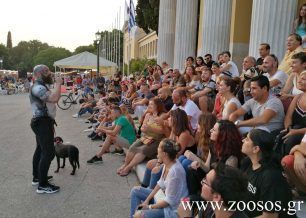 Π. Μήλας (επικεφαλής Angels): Προστατεύοντας τα ζώα δημιουργούμε μια καλύτερη κοινωνία (βίντεο)