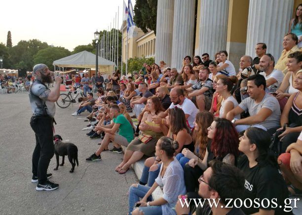 Π. Μήλας (επικεφαλής Angels): Προστατεύοντας τα ζώα δημιουργούμε μια καλύτερη κοινωνία (βίντεο)