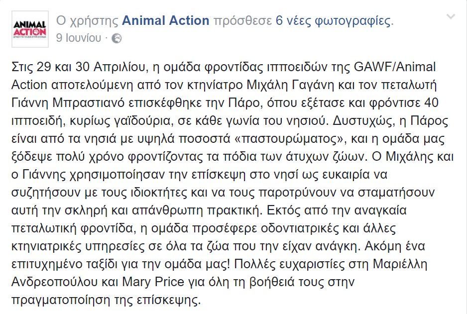 Έτσι βασανίζουν οι Παριανοί και τις αγελάδες δένοντας τα πόδια των ζώων (βίντεο) 2 AnimalActionParos9 6 2017