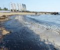 Ελληνική Εταιρία Προστασίας της Φύσης: Περιβαλλοντική καταστροφή στο Σαρωνικό & αγωνία για το οικοσύστημα και τις ακτές κολύμβησης