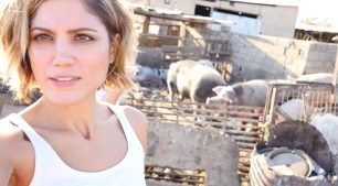 Την τραγική κατάσταση για τ' αδέσποτα & όχι μόνο ζώα στον Ασπρόπυργο διαπίστωσε και η Μαίρη Συνατσάκη (βίντεο)