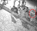 Τρίκαλα: Αναζητούν τη γυναίκα που εγκατέλειψε δύο κουτάβια στο προαύλιο του Μουσείου «Β. Τσιτσάνης»