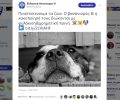 Η Ελληνική Αστυνομία μας υπενθυμίζει μέσω twitter πως η κακοποίηση των ζώων διώκεται ποινικά
