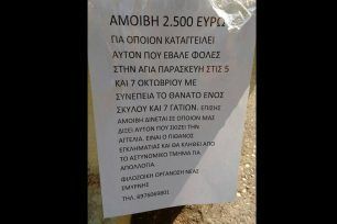 Δίνουν αμοιβή σε όποιον αποκαλύψει ποιος έριξε φόλες στη Νέα Σμύρνη Αττικής