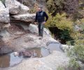 Καστοριά: Ορειβάτης βρήκε πτώμα αρκούδας στο όρος Φλατσάτα Οινόης