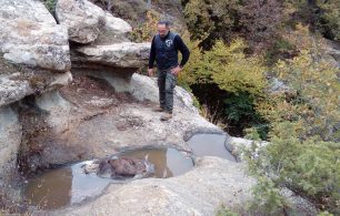 Καστοριά: Ορειβάτης βρήκε πτώμα αρκούδας στο όρος Φλατσάτα Οινόης