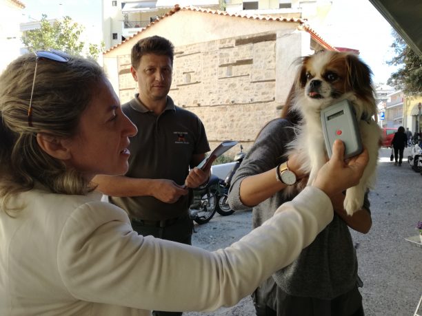 Άρτα: Ξεκίνησαν οι έλεγχοι για τα οικόσιτα ζώα συντροφιάς από τον Δήμο Αρταίων