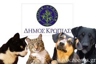 O Δήμος Κρωπίας αγνοεί τα αιτήματα των δημοτών του για τη φροντίδα αδέσποτων ζώων στο Κορωπί;