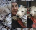 Αναρρώνει ο σκύλος που βρέθηκε ζωντανός & κρεμασμένος σε γέφυρα μαζί με μια νεκρή κατσίκα στον κάμπο Μεσσηνίας