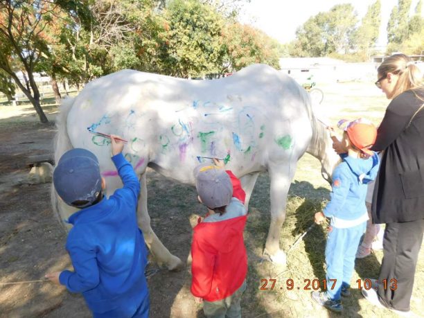 Θεσσαλονίκη: Έβαλαν μαθητές παιδικού σταθμού να βάψουν ζωντανό άλογο
