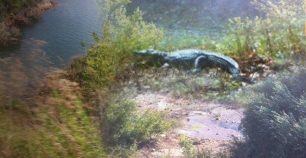 Ρέθυμνο: Εντόπισαν νεκρό τον κροκόδειλο στο Φράγμα Ποταμών