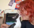 Υιοθέτησε το γατάκι που έμεινε τυφλό μετά τον άγριο ξυλοδαρμό του στη Λέρο (βίντεο)