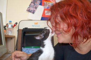 Υιοθέτησε το γατάκι που έμεινε τυφλό μετά τον άγριο ξυλοδαρμό του στη Λέρο (βίντεο)