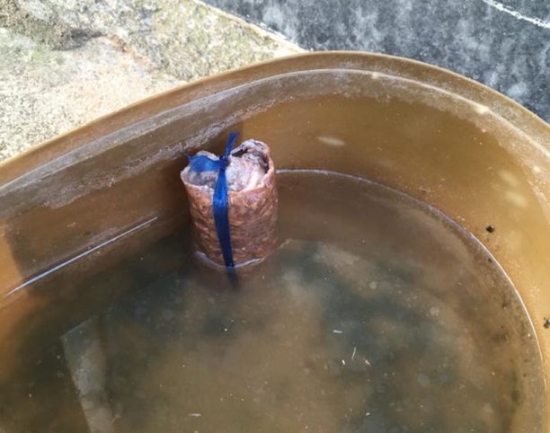 Γαργαλιάνοι Μεσσηνίας: Λουκάνικο – φόλα μέσα στο δοχείο νερού για τα αδέσποτα
