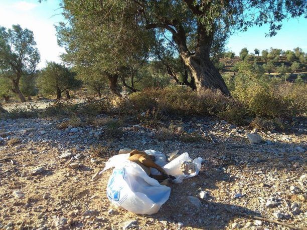 Λέσβος: Βρήκε σκύλο νεκρό κλεισμένο σε σακούλα πεταμένο σε ερημική τοποθεσία στα Αλυφαντά