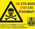 11-4-2016 η δίκη της γυναίκας που έριξε δηλητηριασμένα κεφτεδάκια στ’ αδέσποτα στο Ελληνικό Αττικής