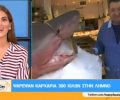 Στην εκπομπή «HAPPY DAY στον ALPHA» διαφήμιζαν πώληση καρχαρία που η θανάτωση του απαγορεύεται (βίντεο)