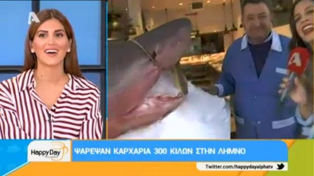 Στην εκπομπή «HAPPY DAY στον ALPHA» διαφήμιζαν πώληση καρχαρία που η θανάτωση του απαγορεύεται (βίντεο)