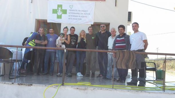 Θεσσαλονίκη: Μεγάλη συμμετοχή κατοίκων στον Δήμο Βόλβης για να στειρωθούν 362 αδέσποτα ζώα