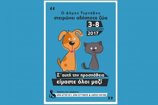 120 αδέσποτα ζώα στειρώθηκαν στον Δήμο Τυρνάβου από εθελοντές κτηνίατρους