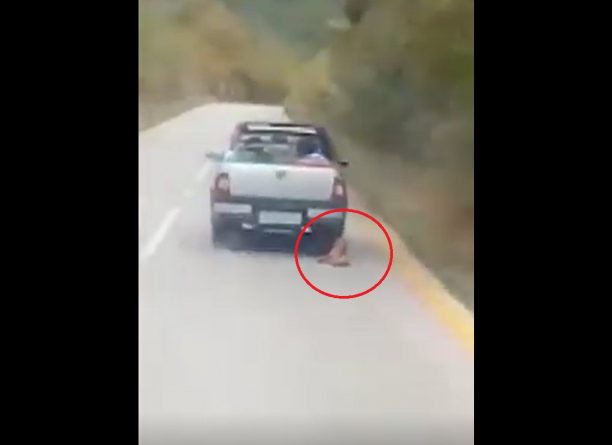 Κατέθεσαν αίτημα για έφεση μετά την αθώωση κυνηγού που σκότωσε τον σκύλο του σέρνοντας τον στην άσφαλτο στα Καλάβρυτα Αχαΐας (βίντεο)