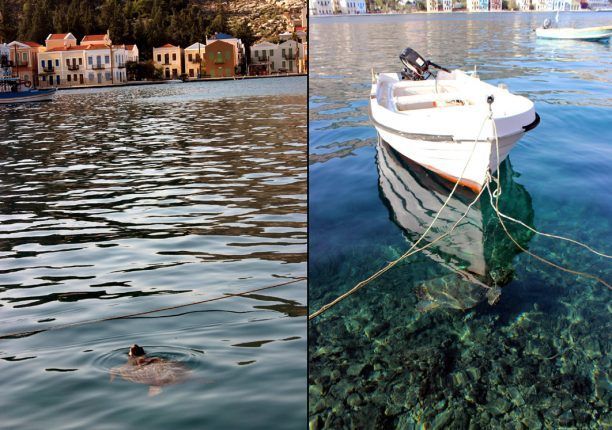 Στο γεμάτο γάτες λιμανάκι του Καστελλόριζου η έκπληξη είναι μέσα στο νερό - αλλά μην την ταΐσετε!