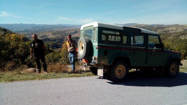 Καστοριά: Σώθηκε ο λύκος που μπήκε στην Εγνατία Οδό στον κόμβο Μανιάκων