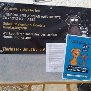 TyrnavosSteiroseis2017 11