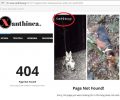 Καλλιστώ: Ψευδές δημοσίευμα για επίθεση λύκων σε κυνηγόσκυλα στη Ξάνθη με φωτογραφία Κογιότ στις Η.Π.Α.