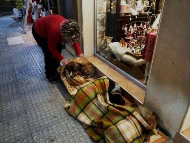 Η κυρία Λένα σκεπάζει με κουβέρτες τα αδέσποτα έξω από το μαγαζί της στην Αλεξανδρούπολη