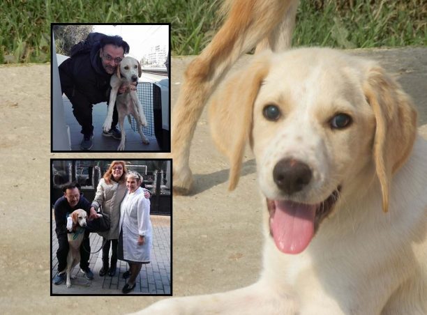 Υιοθέτησε τον τυφλό σκύλο που κάποιος κυριολεκτικά πέταξε μέσα στο καταφύγιο του Συλλόγου Ζωόφιλων Ημαθίας στη Βέροια