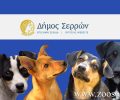 700 σκυλιά στο Δημοτικό Κυνοκομείο Σερρών και ο δήμος μαζεύει και άλλα αδιαφορώντας και για την εξοικονόμηση πόρων