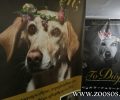 Κυκλοφορεί το βιβλίο της Κ. Παπαποστόλου «Το Δώρο» που είναι η πρώτη «αυτοβιογραφία» ενός κακοποιημένου σκύλου