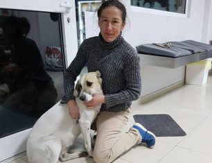 Βρήκε στα Γλυκά Νερά τον σκύλο της που είχε χάσει στην Βάρκιζα Αττικής πριν από ενάμιση χρόνο