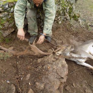 LesvosAsomatosDamaElafi 3