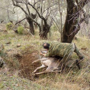 LesvosAsomatosDamaElafi 4