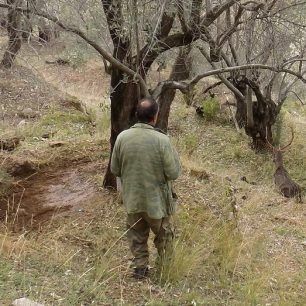 LesvosAsomatosDamaElafi 6