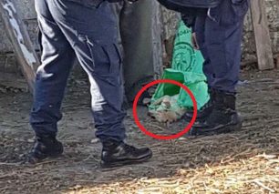 14-3-2018 η δίκη των ανδρών που σκότωσαν σκύλο στα Κύργια Δράμας