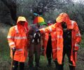 Ναύπακτος: Έσωσαν το κουτάβι που ήταν εγκλωβισμένο σε τρύπα στις ρίζες δέντρου