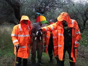 Ναύπακτος: Έσωσαν το κουτάβι που ήταν εγκλωβισμένο σε τρύπα στις ρίζες δέντρου
