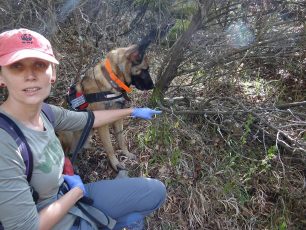 Ο εκπαιδευμένος σκύλος εντόπισε τις φόλες που δηλητηρίασαν άγρια ζώα στον Λειβαδίτη Ροδόπης