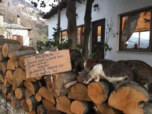 Στη Μαρκινίτσα της Μαγνησίας κάποιος χαρίζει γάτες…