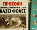 Αθήνα: Συστηματική δολοφονία αδέσποτων γατιών με φόλες και στα Εξάρχεια