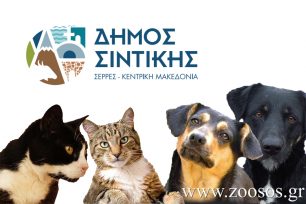 Σέρρες: Ο Δήμος Σιντικής καταδικάζει απερίφραστα τη δολοφονία ζώων με φόλες